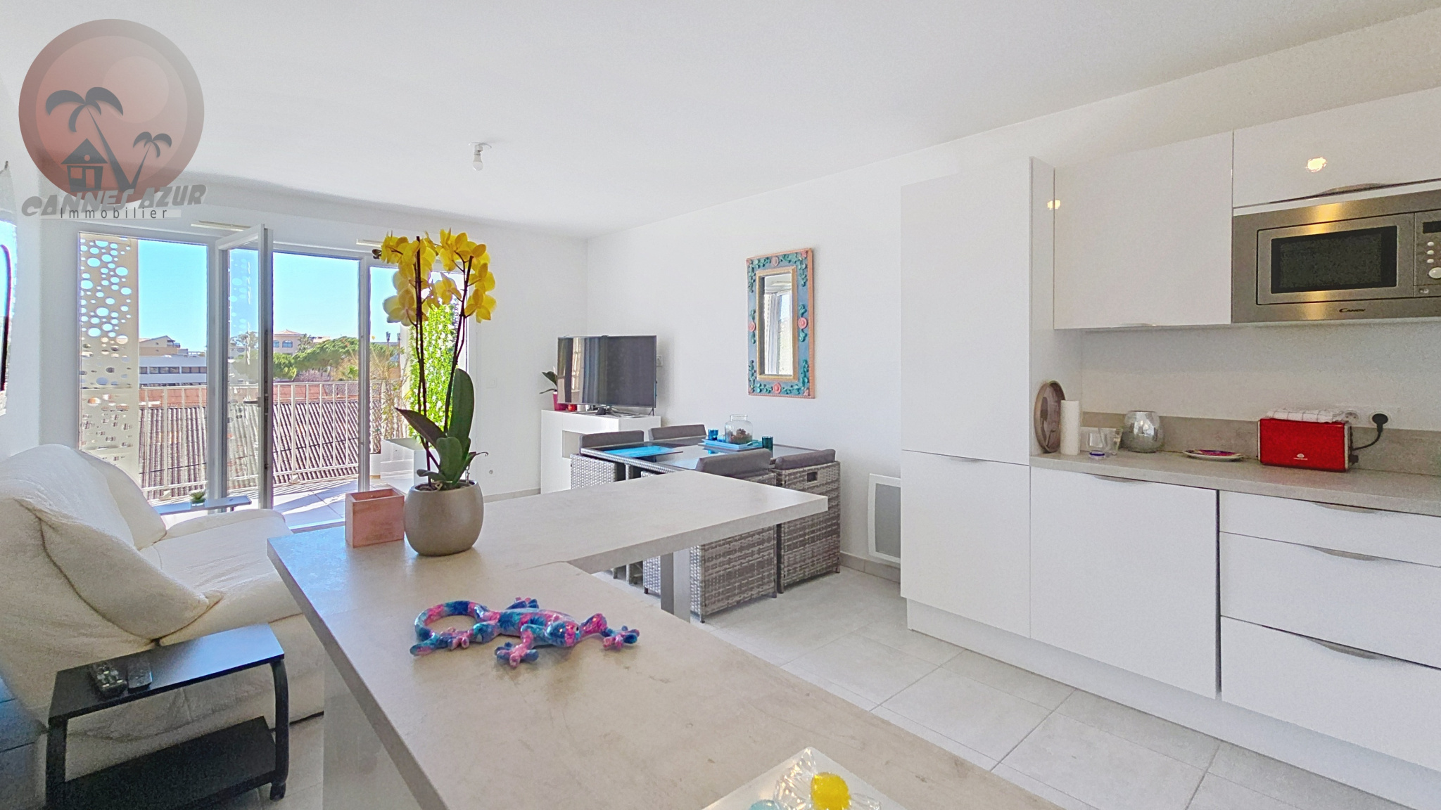 Image_, Appartement, Cannes, ref :VAP100010878