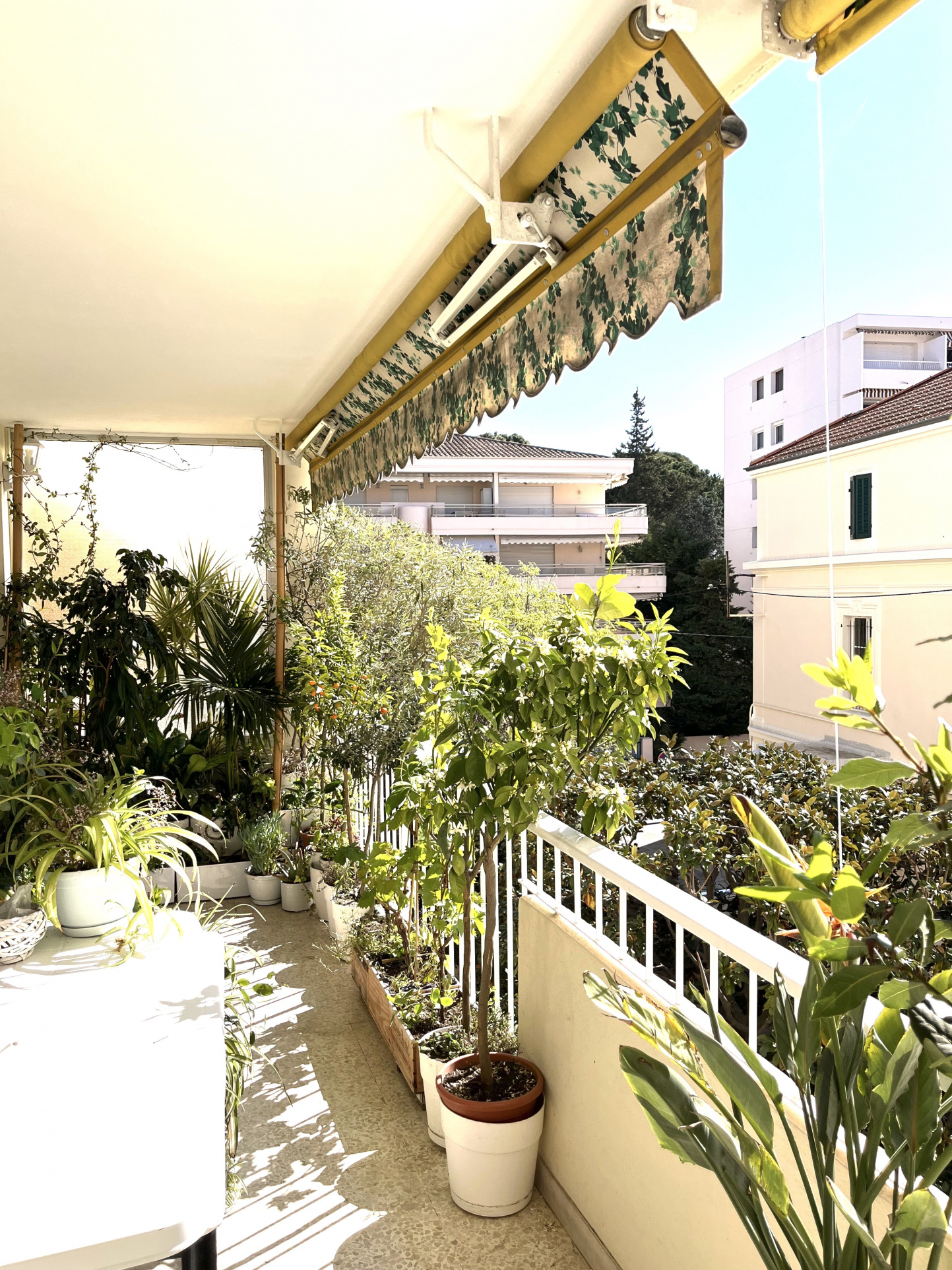 Image_, Appartement, Cannes, ref :VAP60010647