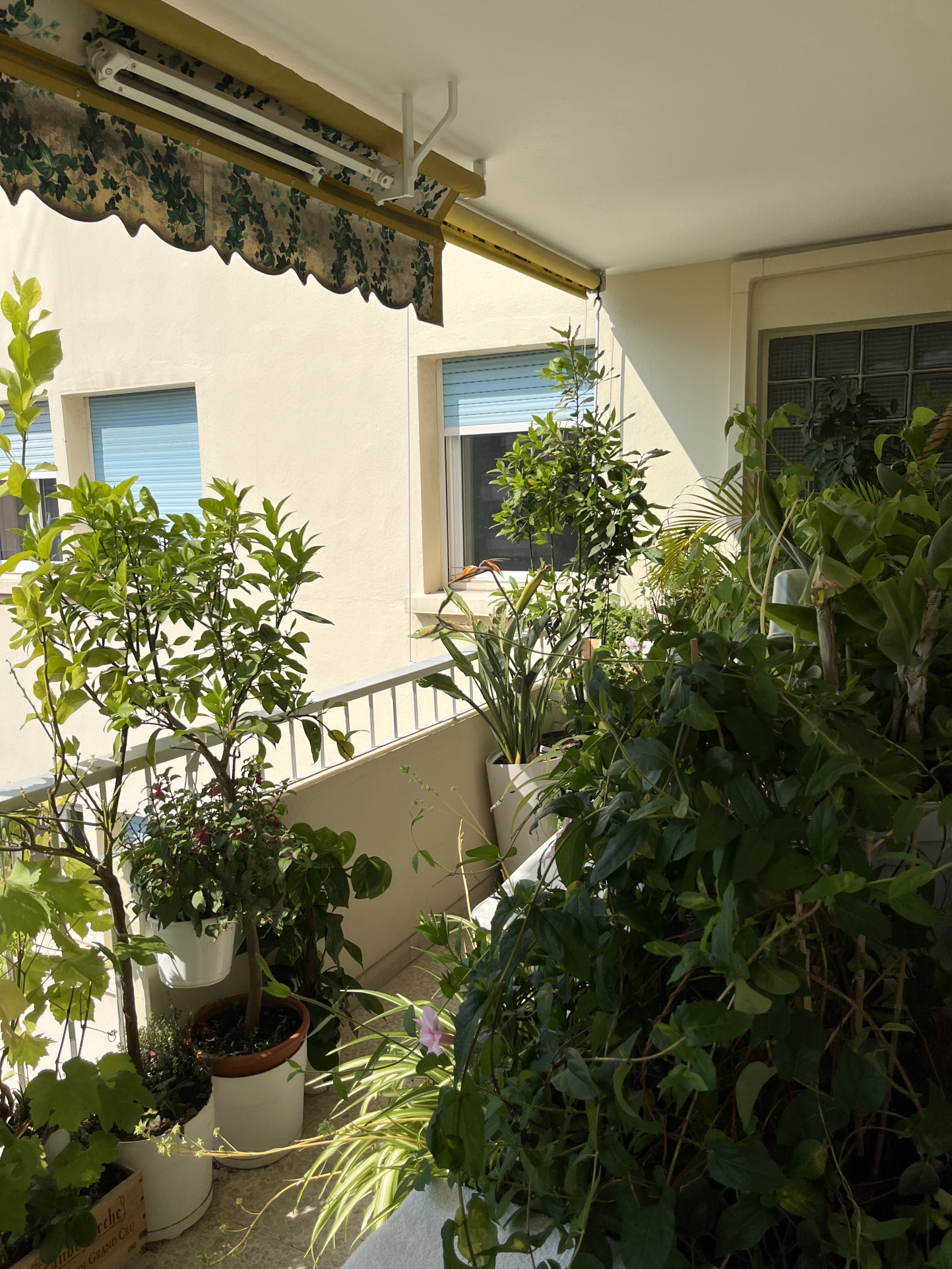 Image_, Appartement, Cannes, ref :VAP60010647