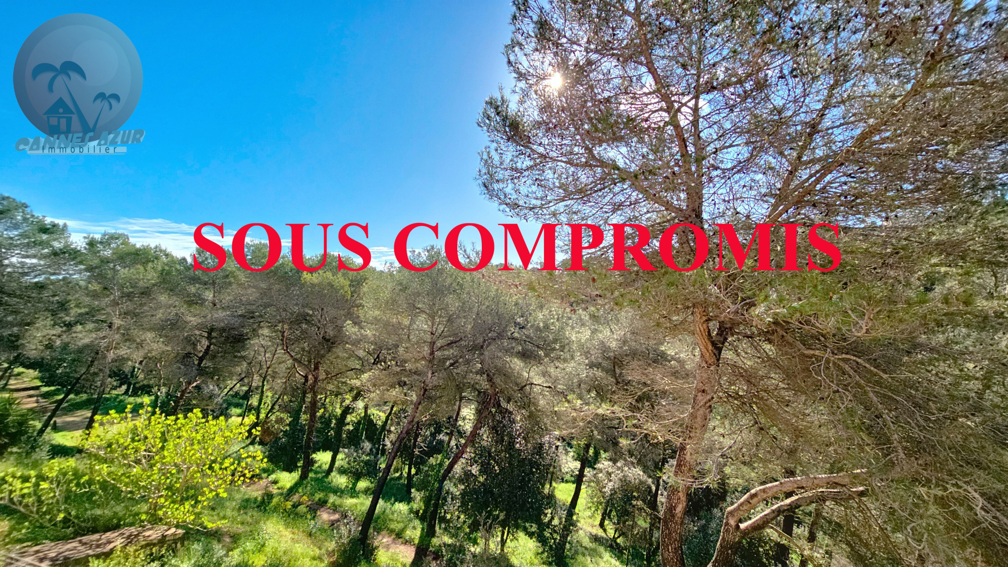 Image_, Appartement, Mougins, ref :VAP100010889