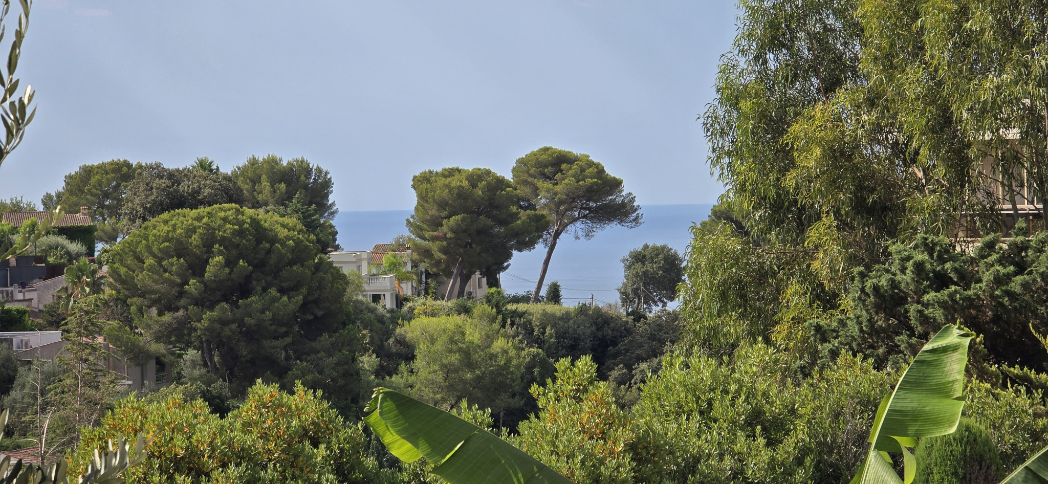 Image_, Appartement, Le Cannet, ref :VAP100011092