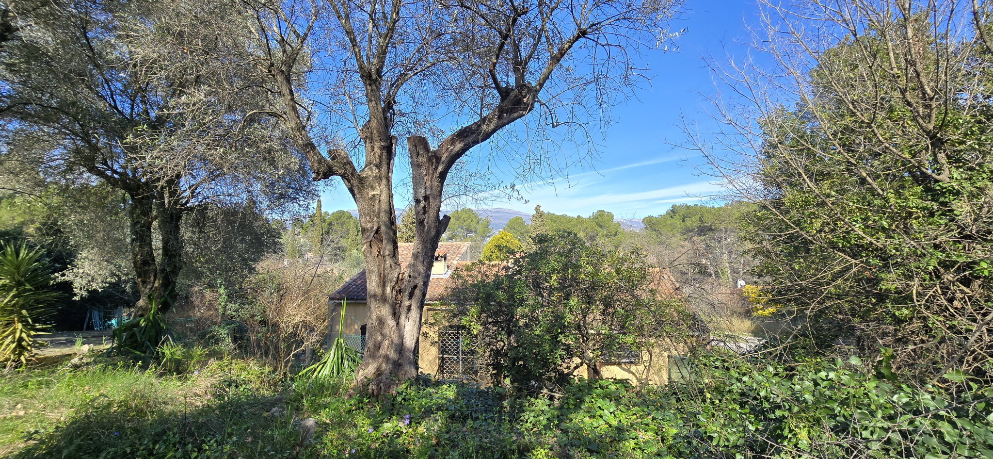 Image_, Maison, Mouans-Sartoux, ref :VMA60010863