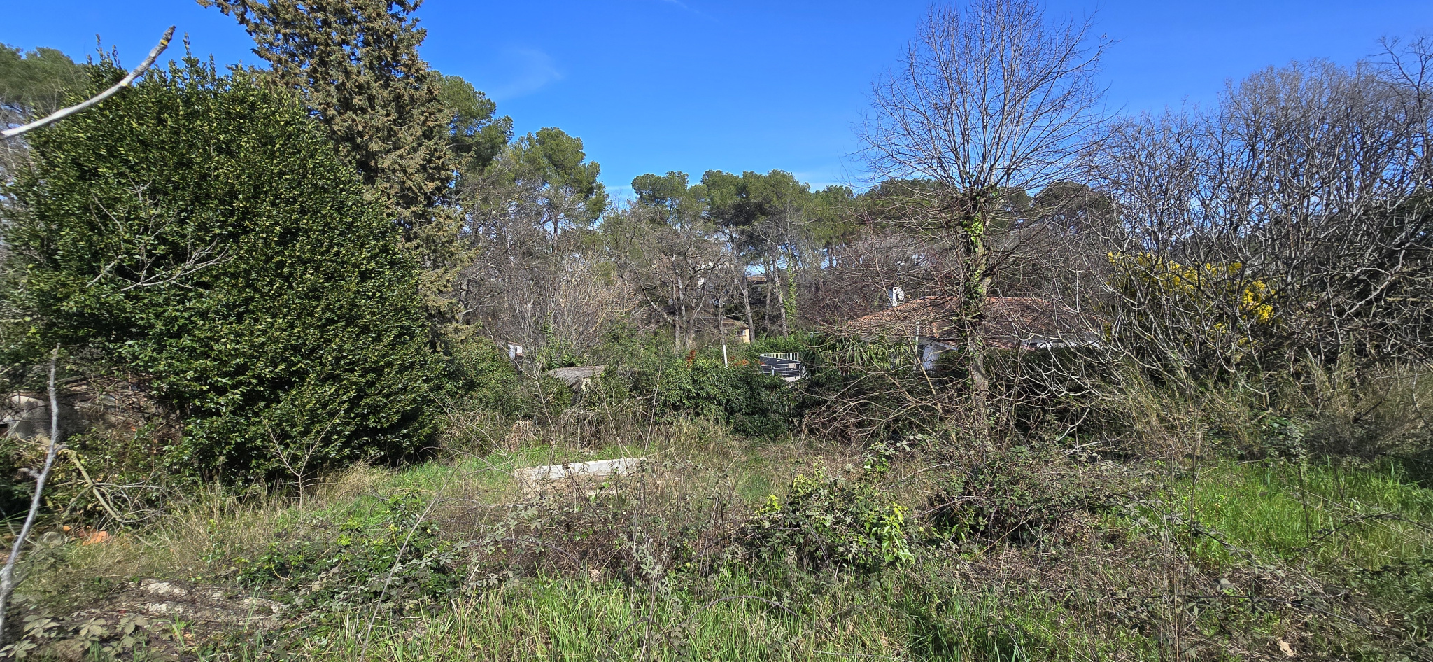 Image_, Maison, Mouans-Sartoux, ref :VMA60010863