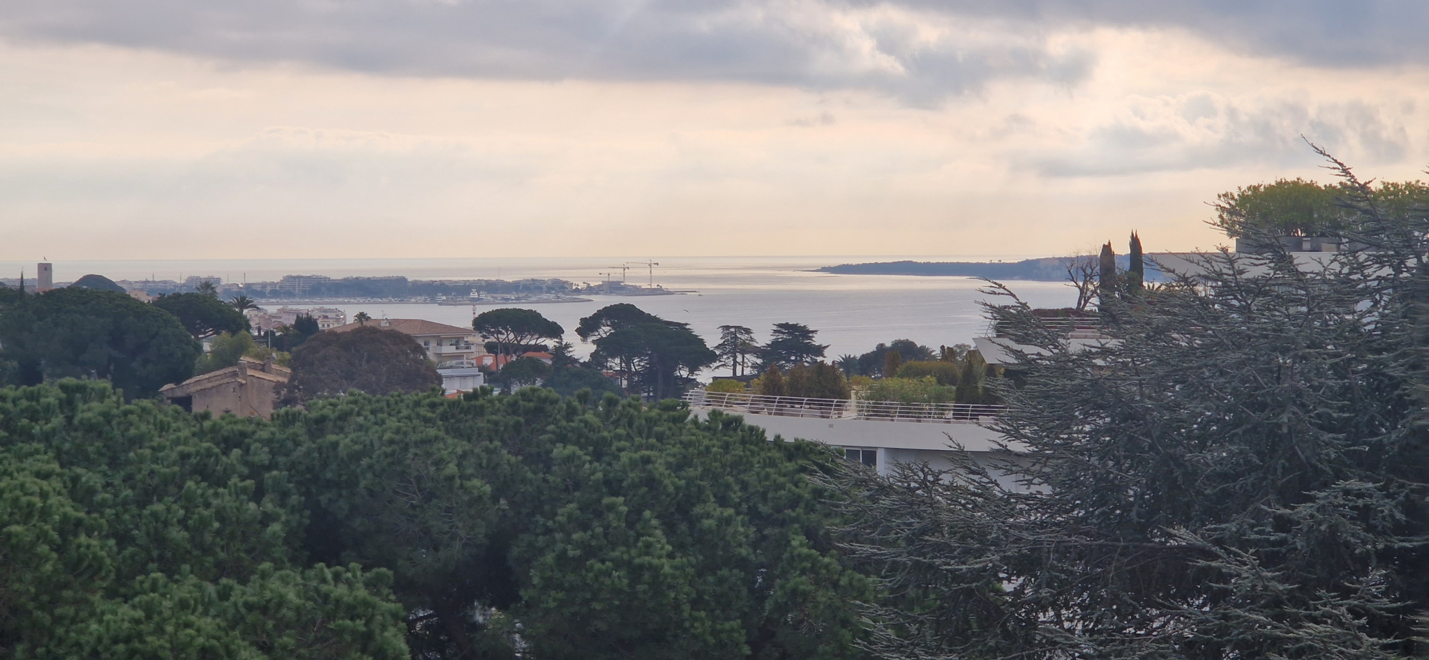 Image_, Appartement, Cannes, ref :VAP100010622