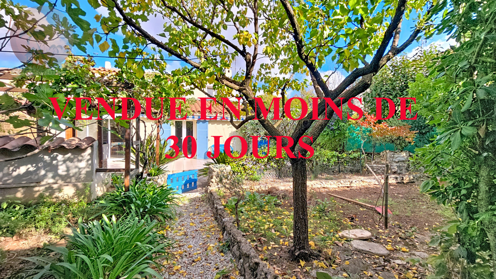 Agence immobilière de Cannes Azur Immobilier