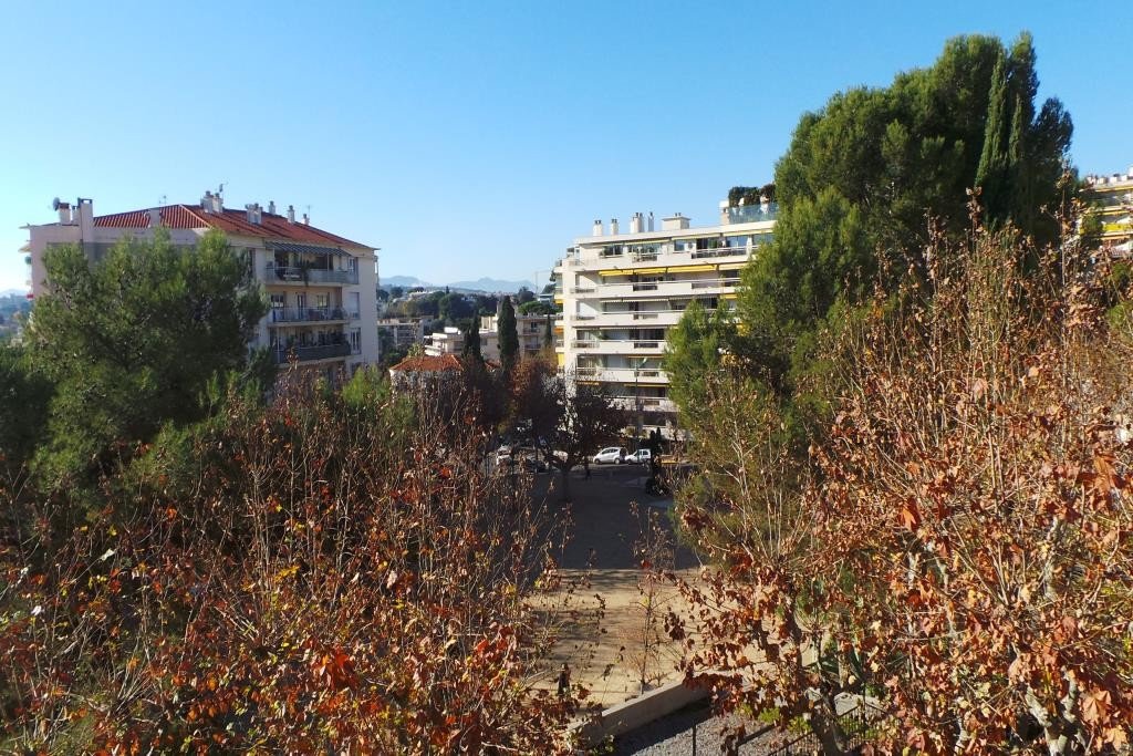Agence immobilière de Cannes Azur Immobilier