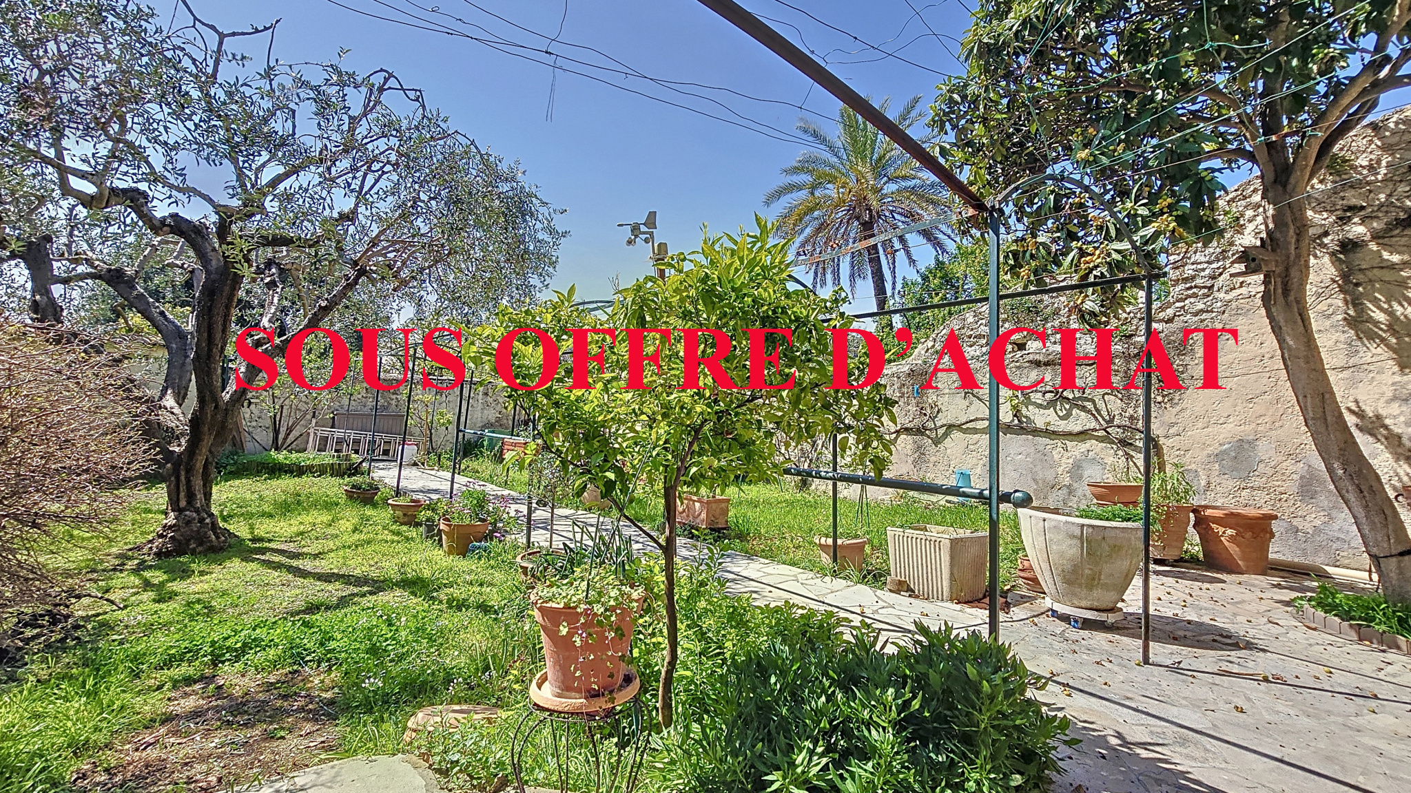 Agence immobilière de Cannes Azur Immobilier