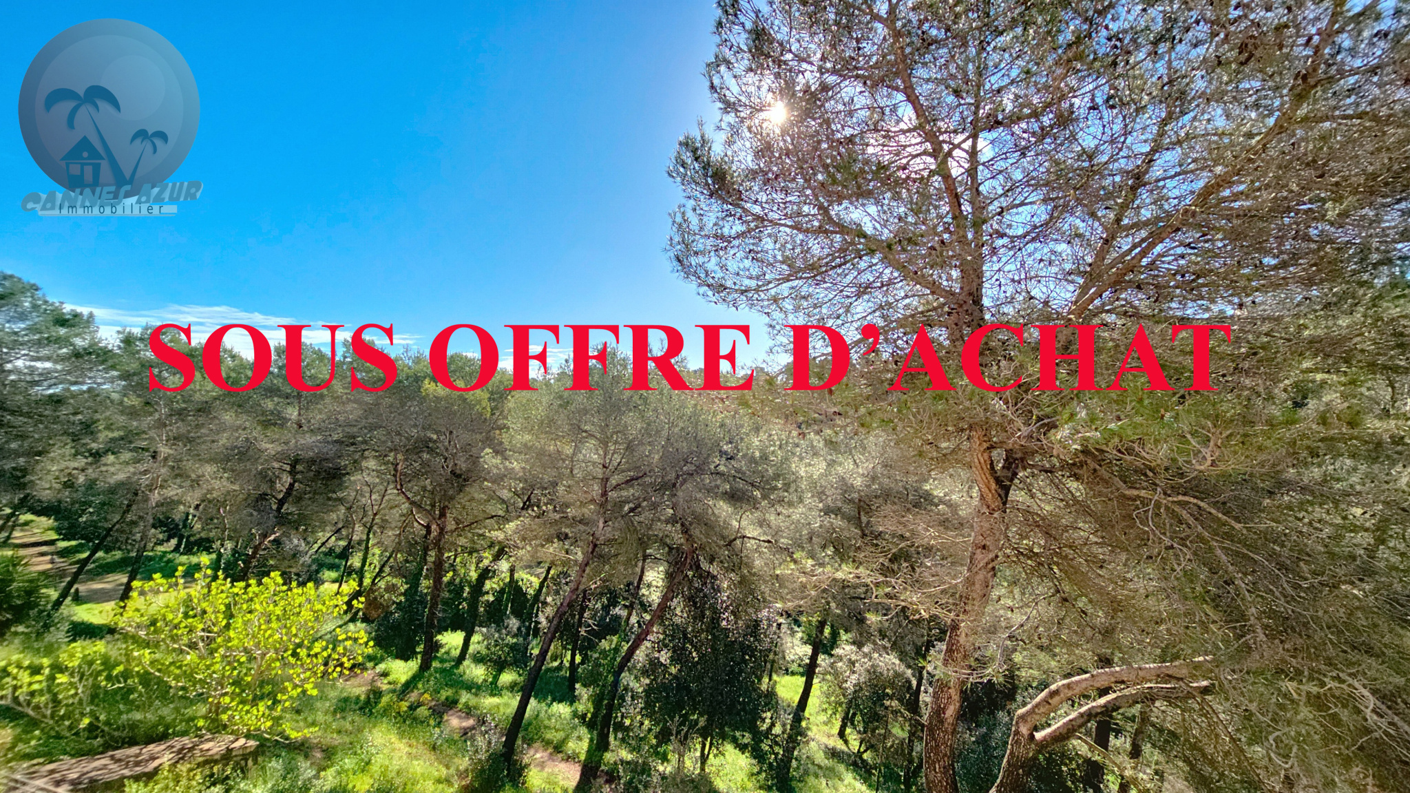 Agence immobilière de Cannes Azur Immobilier
